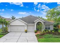 Charming single-story home with a well-manicured lawn, mature trees, and a three-car garage at 10231 Millport Dr, Tampa, FL 33626
