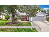 Charming single-story home featuring a well-maintained lawn, mature trees, and an attached two-car garage at 3001 Regal Oaks Blvd, Palm Harbor, FL 34684