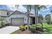 Charming single-Gathering home featuring a two-car garage, well-kept landscaping, and a welcoming front entrance at 4063 Medicci Ln, Wesley Chapel, FL 33543