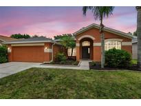 Charming single-Gathering home featuring a well-manicured lawn, two-car garage, and front door with arched window at 19156 Dove Creek Dr, Tampa, FL 33647
