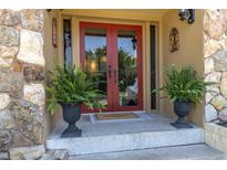 Inviting entryway featuring a vibrant red double door, stone accents, and lush ferns in decorative pots at 2287 Demaret Dr, Dunedin, FL 34698