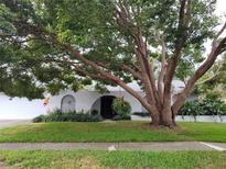 Charming single-story home with stucco facade, mature tree, arched accents, and well-maintained landscaping at 3200 Sandy Ridge Dr, Clearwater, FL 33761