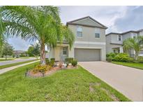 Two-story home showcasing a well-manicured lawn and a mature palm tree accenting the front yard at 10202 White Linen Ave, Riverview, FL 33578