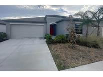 Charming single-story home featuring a two-car garage, red front door and neatly landscaped yard at 11524 Sage Canyon Dr, Riverview, FL 33578