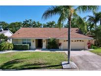 Charming single-story home with a well-manicured lawn and a beautiful palm tree in the front yard at 1599 Mcauliffe Ln, Palm Harbor, FL 34683