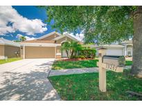 Charming single-Gathering home featuring a well-manicured lawn and a two-car garage at 19247 Otters Wick Way, Land O Lakes, FL 34638