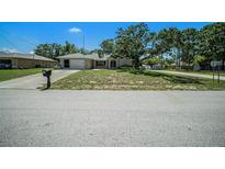 Charming single-story home featuring a well-kept lawn and inviting front entrance at 3305 Blythe Ave, Spring Hill, FL 34609