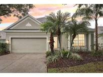 Charming single-story home featuring a well-manicured lawn, two-car garage, and tropical landscaping at 9329 Huntington Park Way, Tampa, FL 33647