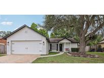 Charming single-story home with a well-maintained lawn and mature shade tree at 1010 Elm Grove Ln, Valrico, FL 33596