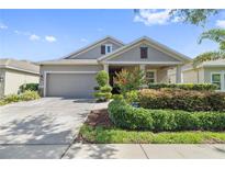 Charming single-Gathering home featuring a well-manicured front yard, two-car garage, and a covered entranceway at 12009 Whistling Wind Dr, Riverview, FL 33569
