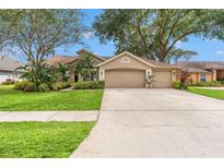 Charming home featuring a well-manicured lawn, mature trees, and a double-car garage at 2713 Brianholly Dr, Valrico, FL 33596