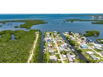 Breathtaking aerial view of waterfront community with canals, lush greenery, and serene ocean backdrop at 825 Seabreeze Dr, Ruskin, FL 33570