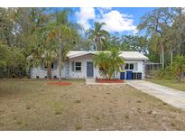 Charming single-story home featuring mature palm trees and a well-maintained front lawn at 9615 Jasmine Blvd, New Port Richey, FL 34654