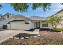 Charming single-story home featuring a well-maintained lawn and inviting front entrance at 10431 Frog Pond Dr, Riverview, FL 33569