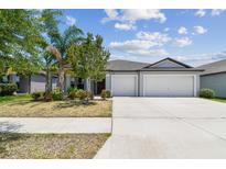 Charming single-story home featuring a spacious driveway and well-maintained landscaping at 10822 Crushed Grape Dr, Riverview, FL 33578