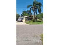 Quaint one-story home featuring a mature palm tree and a lovely landscaped front yard, providing curb appeal at 7304 Royal Palm Dr, New Port Richey, FL 34652