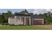 Charming single-story home featuring a welcoming front porch, a two-car garage, and a beautifully landscaped lawn at 9545 Minnow Ray Dr, Land O Lakes, FL 34638