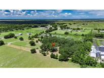 Expansive aerial view showcasing the lush, green landscape and surrounding area at 12434 Cody Dr, Wimauma, FL 33598