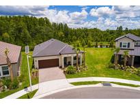 Stunning aerial view of a single Gathering home with a tile roof, and green lawn in a desirable neighborhood at 17263 Mango Shay Ct, Land O Lakes, FL 34638