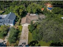 An aerial view of a single Gathering home surrounded by lush greenery and a long driveway at 209 S Greenfield Ave, Temple Terrace, FL 33617