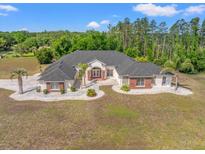 Stunning home showcasing brick accents, manicured landscaping, and elegant curb appeal amidst a lush green backdrop at 11137 Woodland Waters Blvd, Weeki Wachee, FL 34613