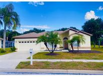 Charming single-story home with a well-manicured front yard and mature palm trees on a sunny day at 19709 Wyndham Lakes Dr, Odessa, FL 33556