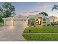 Charming single-story home with a well-maintained lawn, manicured landscaping, and a three-car garage at 13375 Newcastle Ave, Spring Hill, FL 34609