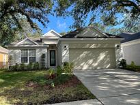 Charming single-Gathering home with manicured lawn, mature trees, and an attached two-car garage at 18108 Ashton Park Way, Tampa, FL 33647