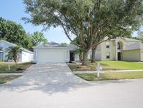 Charming single-story home featuring a well-maintained front yard, mature shade tree, and a two-car garage at 24741 Ravello St, Land O Lakes, FL 34639