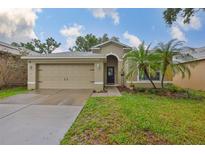 Charming single-story home featuring a well-maintained lawn, palm trees, and a two-car garage at 1129 Emerald Hill Way, Valrico, FL 33594