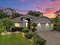 Charming single-story home featuring a well-manicured lawn and a two-car garage, all illuminated by landscape lighting at dusk at 11302 Crane Lake Ct, Riverview, FL 33569