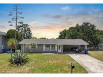 Charming single story home boasts a well-maintained lawn, mature landscaping and a covered carport at 6208 Florida E Cir, Apollo Beach, FL 33572