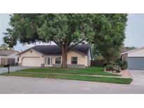Charming single-story home with a large tree and well-maintained lawn at 11217 Fiddlewood Dr, Riverview, FL 33579