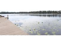 Picturesque lake view from the dock showcasing serene water and lush greenery at 6160 Fitzgerald Road, Odessa, FL 33556