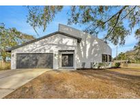 Beautifully landscaped front exterior of a home with a gray garage and a distinctive curved architectural feature at 5526 Southernview Dr, Zephyrhills, FL 33541