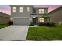 Charming two-story home with a well-maintained lawn and attached garage at 33524 Elm Hill Br, Wesley Chapel, FL 33545