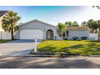 Charming single-story home with a well-maintained lawn, an attached garage, and lush palm trees at 10733 Drummond Rd, Tampa, FL 33615