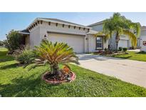 Charming single-story home with a well-manicured lawn, palm trees, and a two-car garage at 10326 Boggy Moss Dr, Riverview, FL 33578