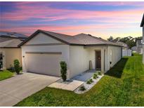 Charming single-story home featuring a well-manicured lawn and a two-car garage at 35552 Shade Fern Ln, Zephyrhills, FL 33541