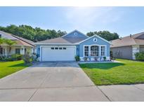 Charming single-story blue home featuring a two-car garage and well-maintained front lawn at 6232 Crickethollow Dr, Riverview, FL 33578