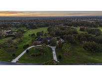 Expansive estate featuring manicured grounds, mature trees, and a long driveway leading to the grand home at 11441 Hammock Oaks Ct, Lithia, FL 33547