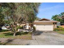 Charming single-story home featuring a well-manicured lawn and a spacious driveway leading to an attached two-car garage at 1142 Lancer Ln, Tarpon Springs, FL 34689