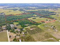 Expansive aerial view highlighting the property's boundaries, showcasing a mix of lush woodland and open pastures at 14409 Curley Rd, Dade City, FL 33525