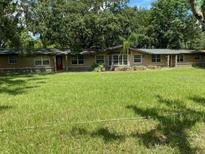 Sprawling front yard with mature trees and a single-story home in the background at 17220 Estes Rd, Lutz, FL 33548