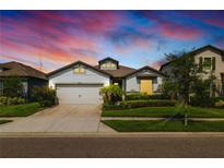 Charming single-story home featuring a well-manicured lawn and a two-car garage at 7912 Yale Harbor Dr, Wesley Chapel, FL 33545