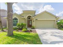 Charming single-story home with well-manicured lawn, mature trees, and a two-car garage at 12204 Coldstream Ln, Tampa, FL 33626