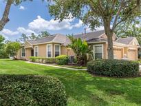 Attractive single-story home with a well-manicured lawn and lush landscaping at 19137 Lake Audubon Dr, Tampa, FL 33647