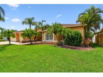 Charming single-story home featuring a well-manicured lawn and lush tropical landscaping, including palm trees at 13028 Prestwick Dr, Riverview, FL 33579