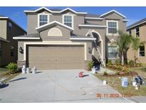 Charming two-story home with a well-manicured lawn and a spacious two-car garage at 20420 Carolina Cherry Ct, Tampa, FL 33647