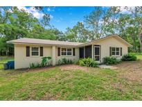 Charming single-story home with a well-maintained lawn and cozy shutters at 316 Jenkins Ave, Brooksville, FL 34604